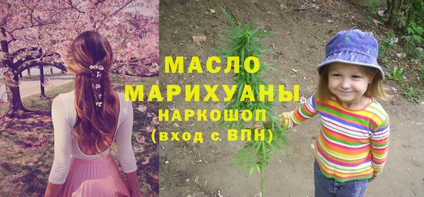 гашик Надым