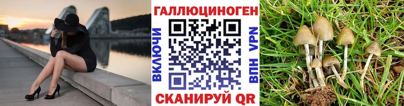 Псилоцибиновые грибы прущие грибы  Купить закладки  Сосногорск 